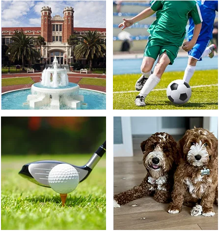 Flan Plan Law About Peter Flanagan Background